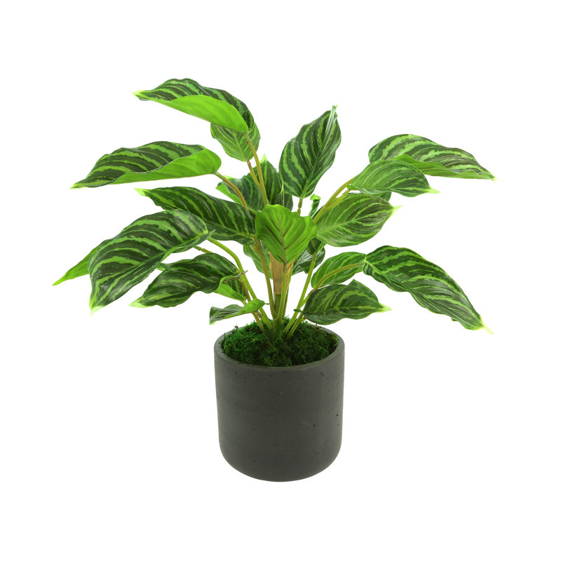 17'' Faux Foliage Plant in Fiberstone Pot