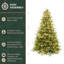 Arbre de Noël artificiel en pin de 9 pi avec lumières DEL blanc chaud et minuterie Fraser Hill Farm-988760036