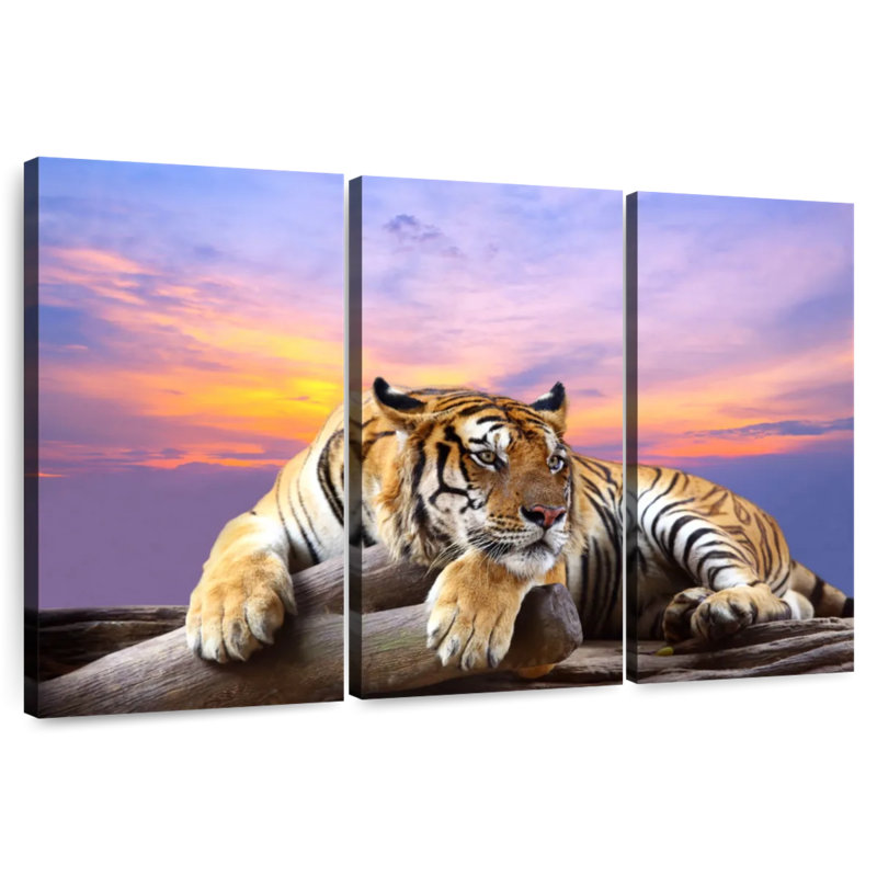 Lounging Tiger, 20" H x 33" W