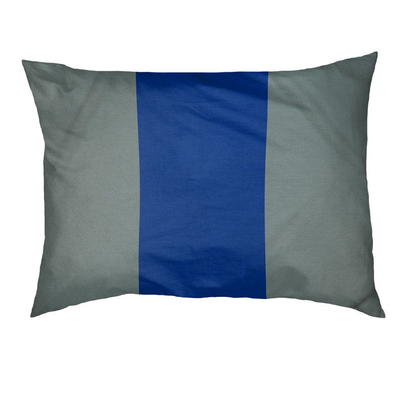 Coussin pour chien Arizona Tempe, Très grand (l 50 po x P 40 po x H 7 po), Argent / Bleu