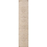 Hand Knotted Area Rug in Beige And Multi