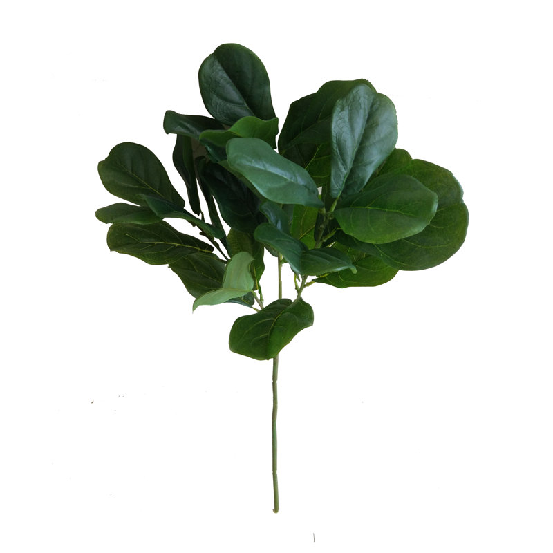 Arrangement