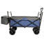 Collapsible Foldable Wagon With Canopy