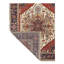 Oriental Area Rug in Ivory