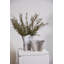 Vase Claribel-1912702199