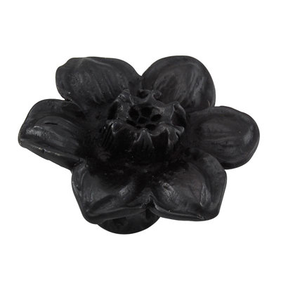 Carlotta Novelty Knob