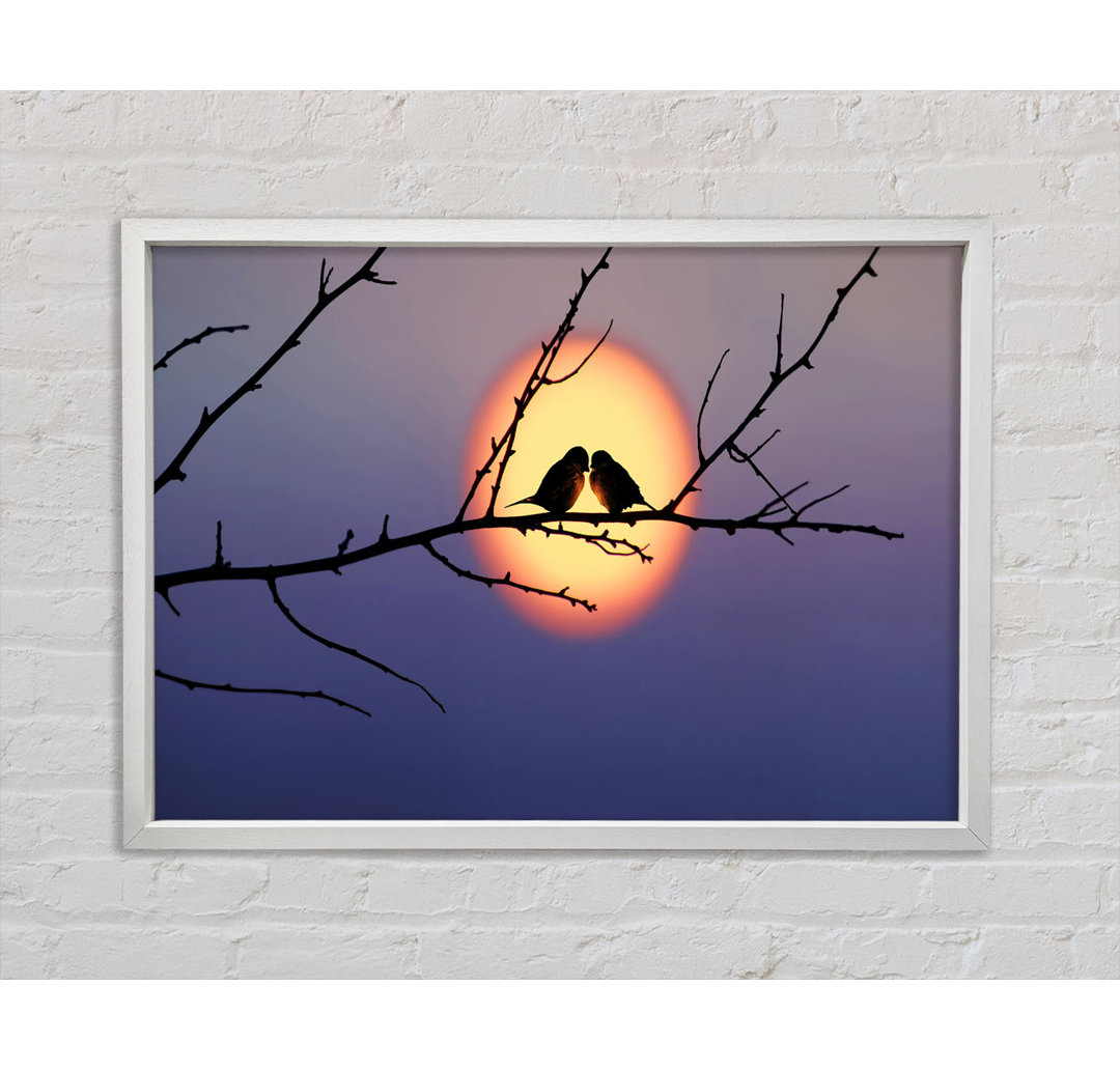 Love Bird Sunset - Einzelner Bilderrahmen Kunstdrucke auf Leinwand