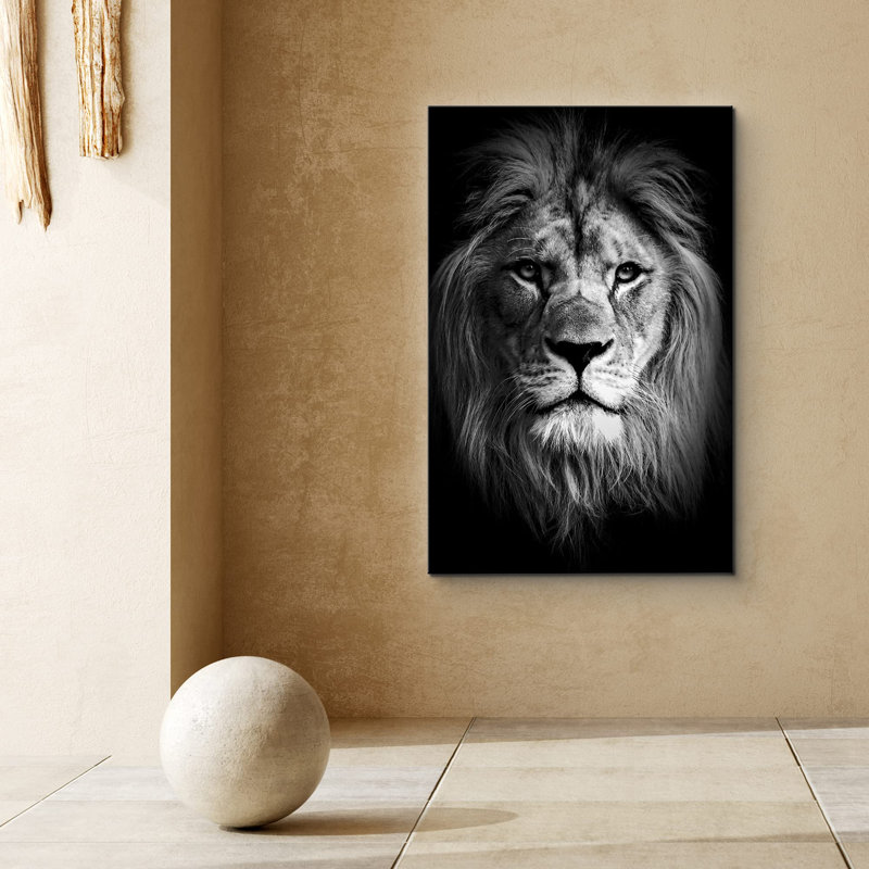 Portrait d'animaux lion, faune, gros plan, dramatique, noir et blanc, H 24 po x l 16 po