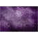 Premium Machine Washable Cerrito AMF565 Purple Rug