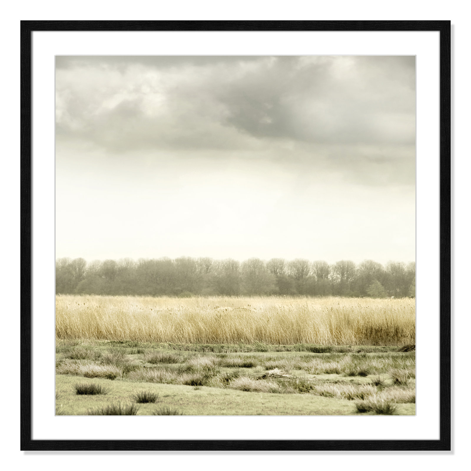Henri "Meadowland" Print by Danita Delimont, 33.25" H x 33.25" W, Black Wood Grain