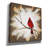'Weathered Friends - Cardinal' by Britt Hallowell, Canvas Wall Art-1773016938