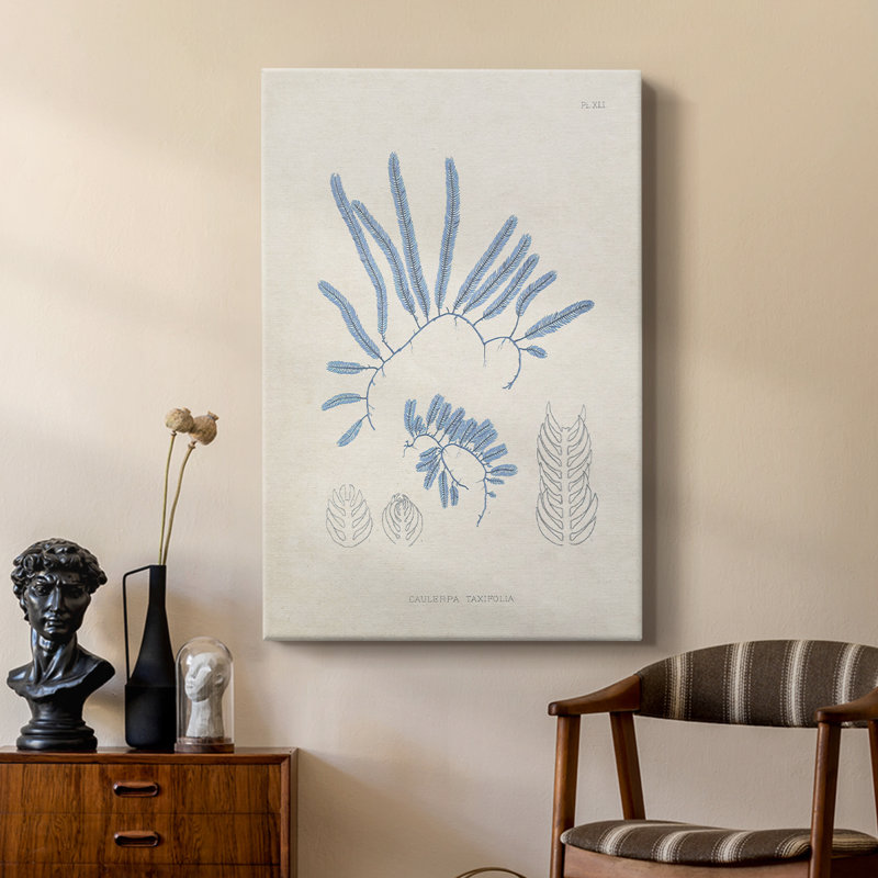 Blue Marine Algae II - galerie sur mesure Cavas, H 18 po x l 12 po
