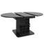 Extendable Dining Table-1660926262