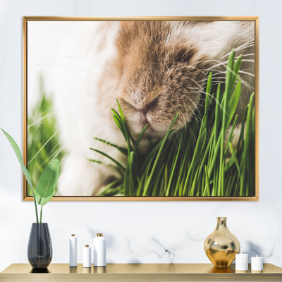 Gros plan sur un nez de lapin et des tiges d'herbe verte - peinture sur toile