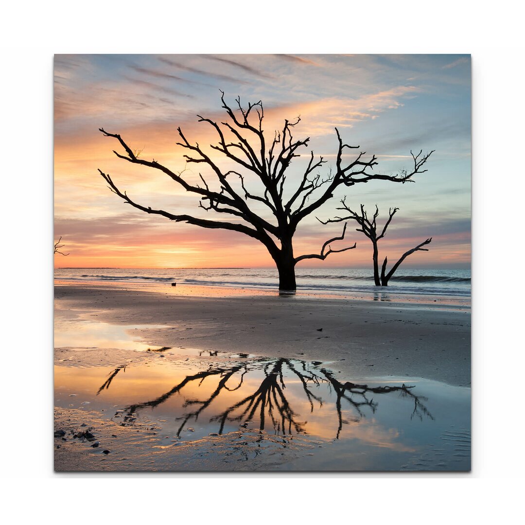 Leinwandbild Kahle Bäume am Strand