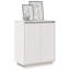 Glenise 60cm Solid Wood Sideboard-537135337