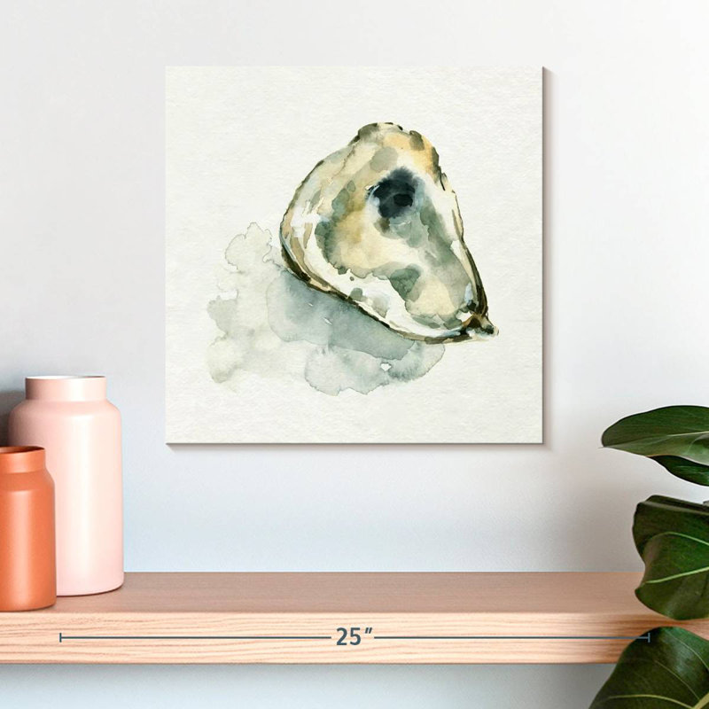 Aletra Old Salt Shell II