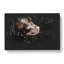 Chocolate Labrador Dog Paint Splash - Wrapped Canvas Print-61883908