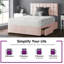 Fales Divan Bed Base-1706003320-1706003287-1706003286