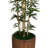 Panama 77" Bamboo Tree in Planter-1771522190
