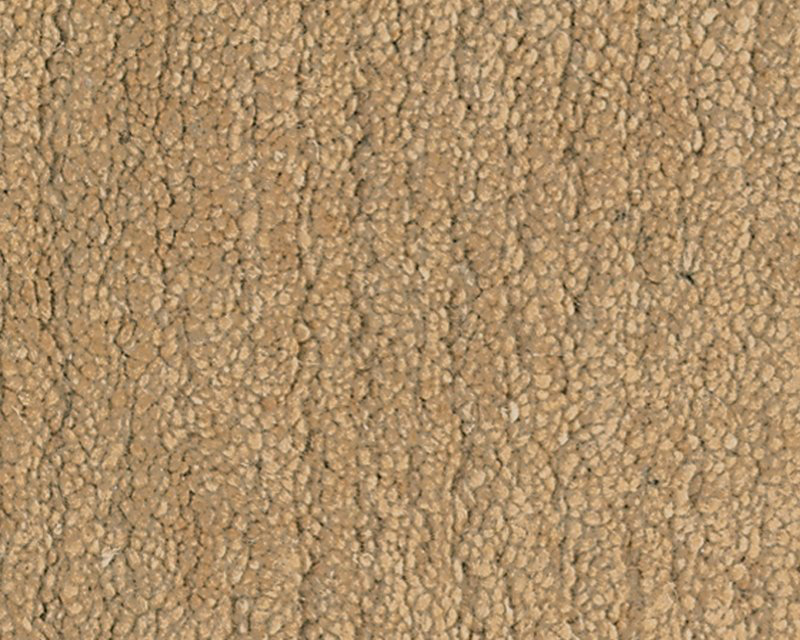 Sprouts Wool Area Rug in Beige, Rectangle 9' x 12'