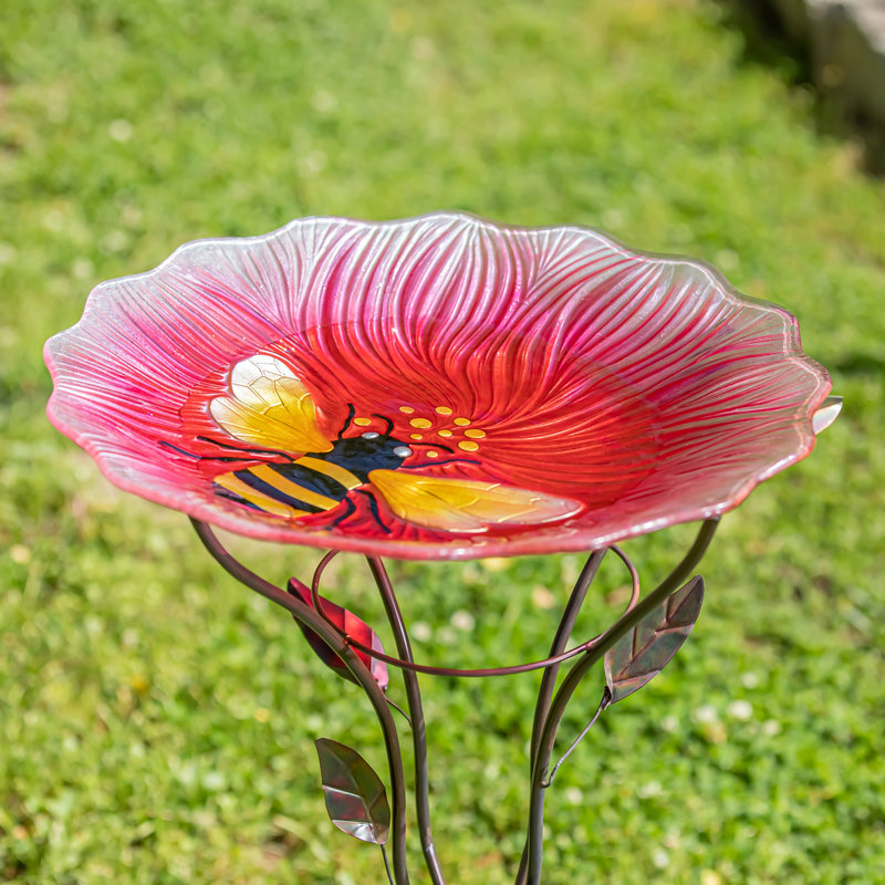Amanjeet Glass Single Tier Birdbath