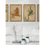Scorpio Print by Grand Archives-764743448-764743447