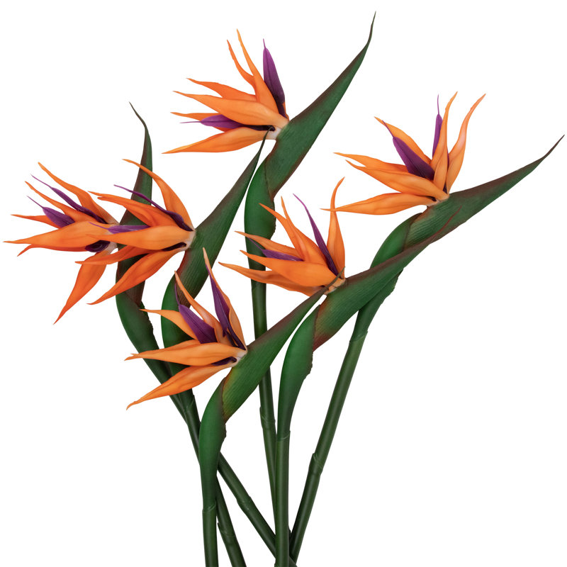 Mixed Arrangement