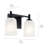 Hopedale 2 - Light Vanity Light-411284935