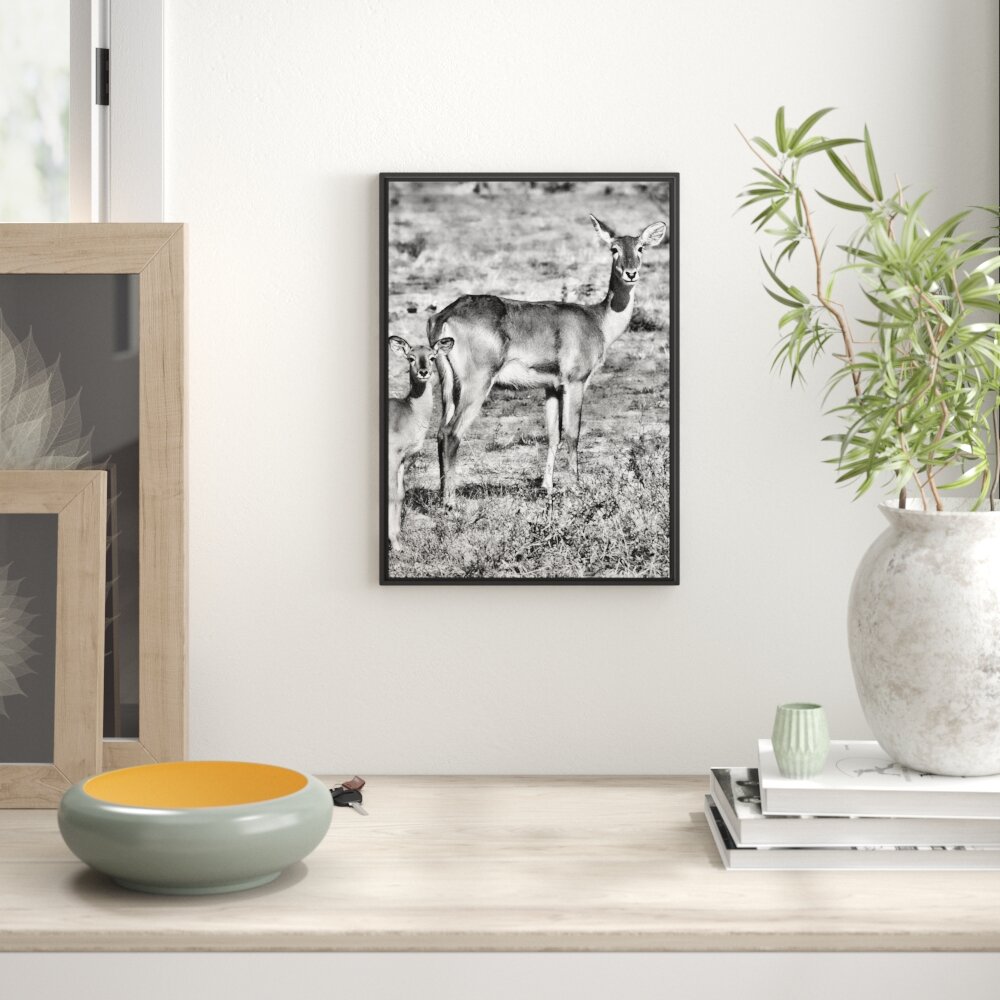 Gerahmtes Wandbild indische Gazelle mit Jungtier