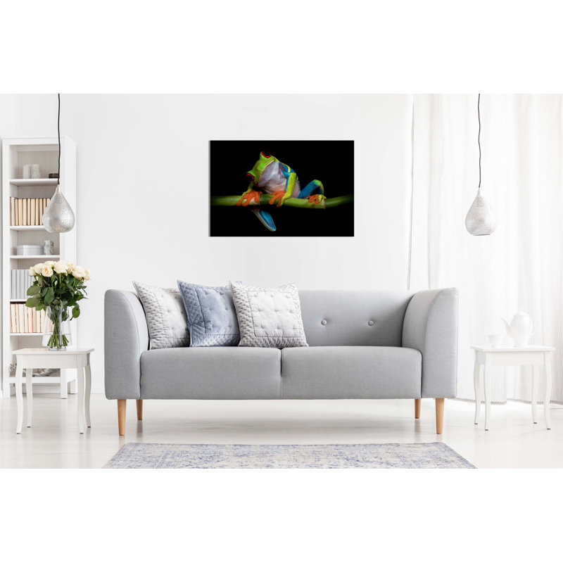 Colourful Red-eyed Frog Nature Artistic - Wrapped Canvas Art Prints, 91cm H x 61cm W