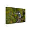 Art sur toile Jim Cumming-109345011
