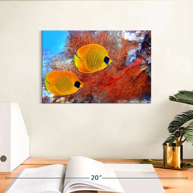 Poisson-papillon jaune Brampt récif corail, H 8 po x l 12 po