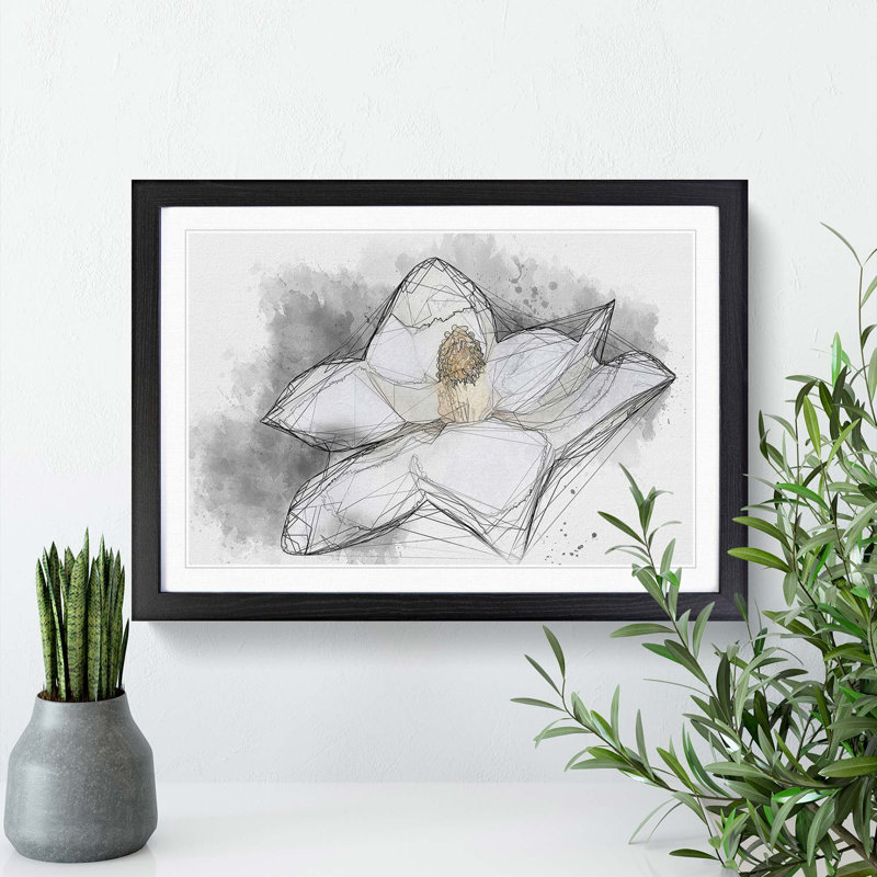 Blooming White Magnolia in Abstract - Picture Frame Drawing Print, 48cm H x 65cm W x 2cm D, Black Framed