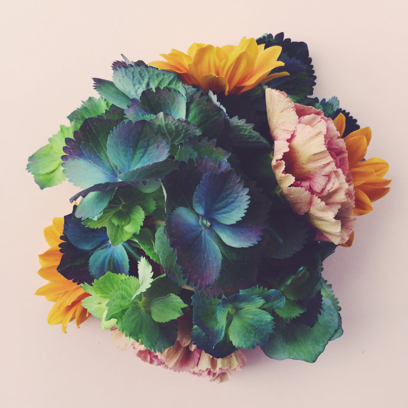 Une nature morte sur toile par Knape, photographie, H 12 po x l 12 po x P 1,25 po