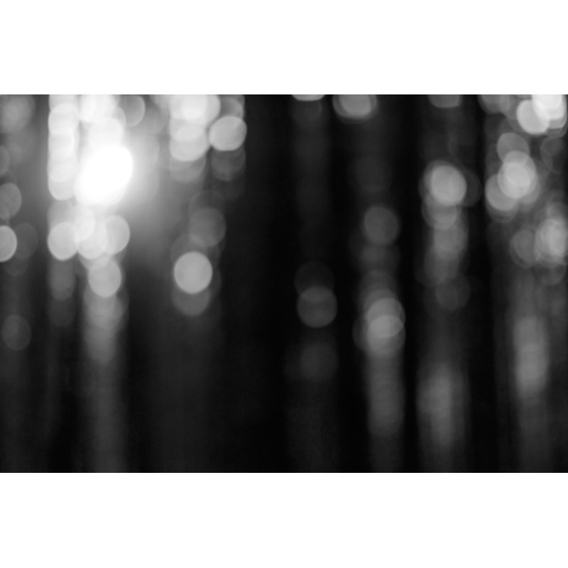 Forêt de rêve par Misha Kaminsky, H 32 po x l 48 po