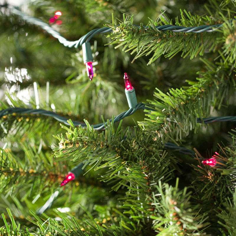 50.5' 100-Light String Lights, Purple