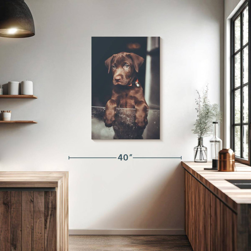 Brampt Chocolate Labrador Puppy, 36" H x 24" W