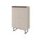 Allexys Rectangle Accent Cabinet