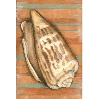 Shell On Stripes III - Wrapped Canvas Painting