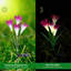 Piquet de jardin Sowaz