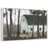 Floating Frame White