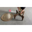 Table basse à pieds croisés-1633879311