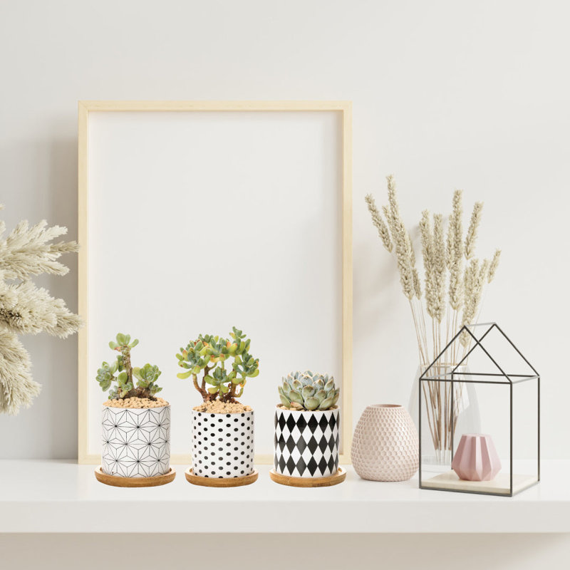 Kennetra Ceramic Pot Planter