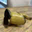 Photos des clients 9 de 10