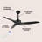 Artisha 50'' Ceiling Fan-684973096
