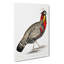 Horned Pheasant by John Edward Gray - Wrapped Canvas Painting-55312323