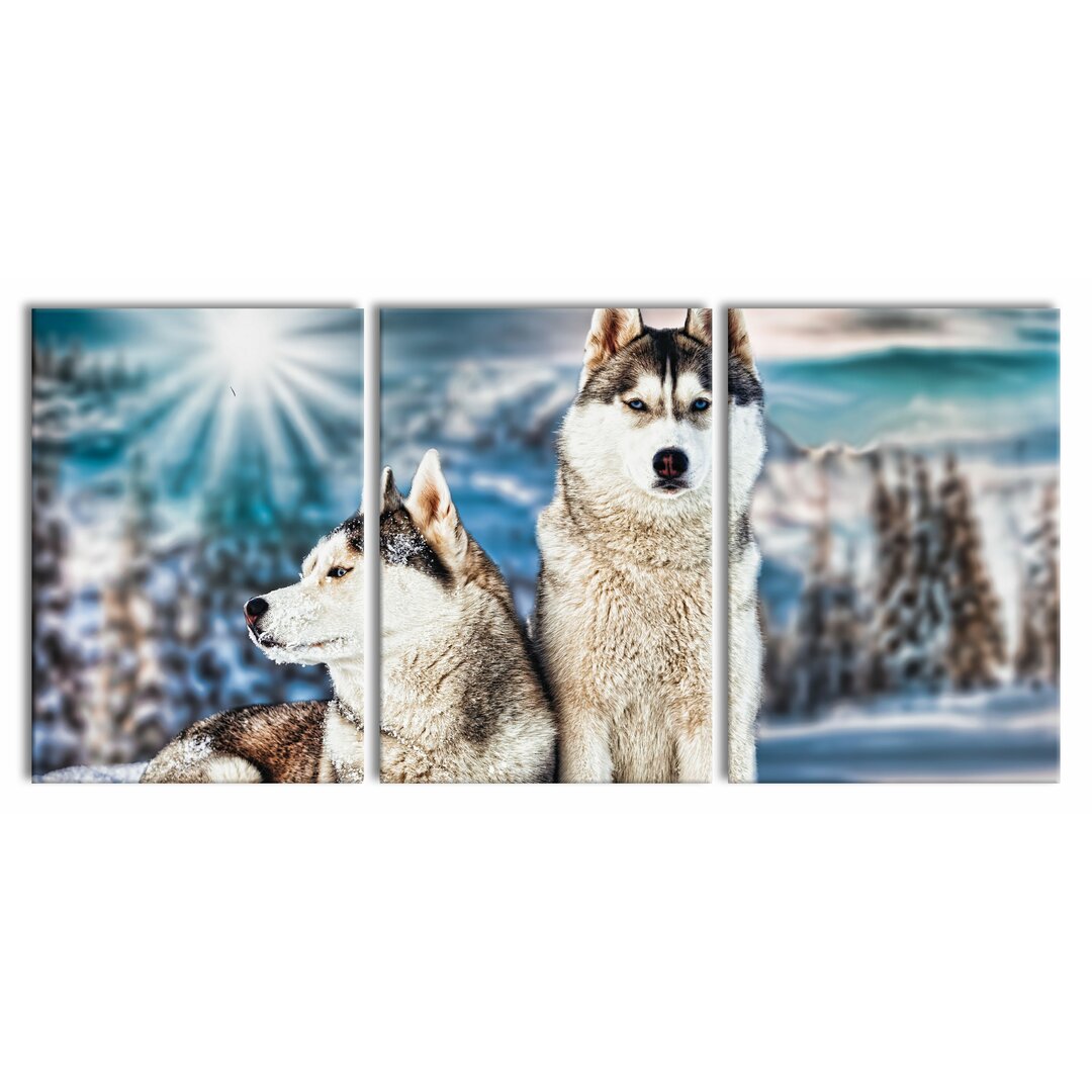 3-tlg. Leinwandbilder-Set Two Wild Huskies