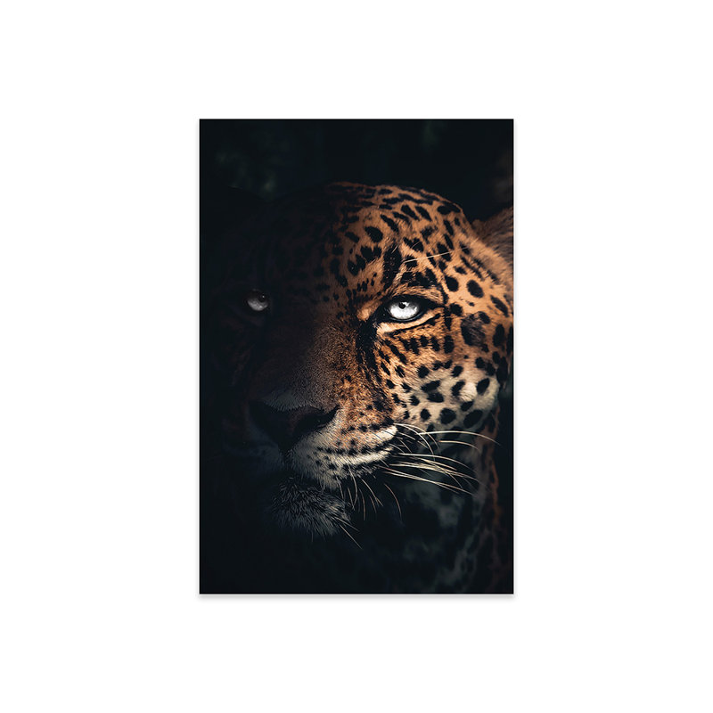 «The Jaguar» par Zenja Gammer - impression sans cadre