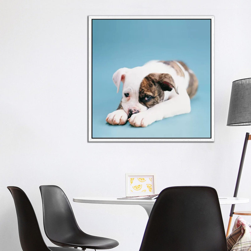 Shadow by Rachael Hale - Print on Canvas, White Framed, 93.98 cm H x 93.98 cm W